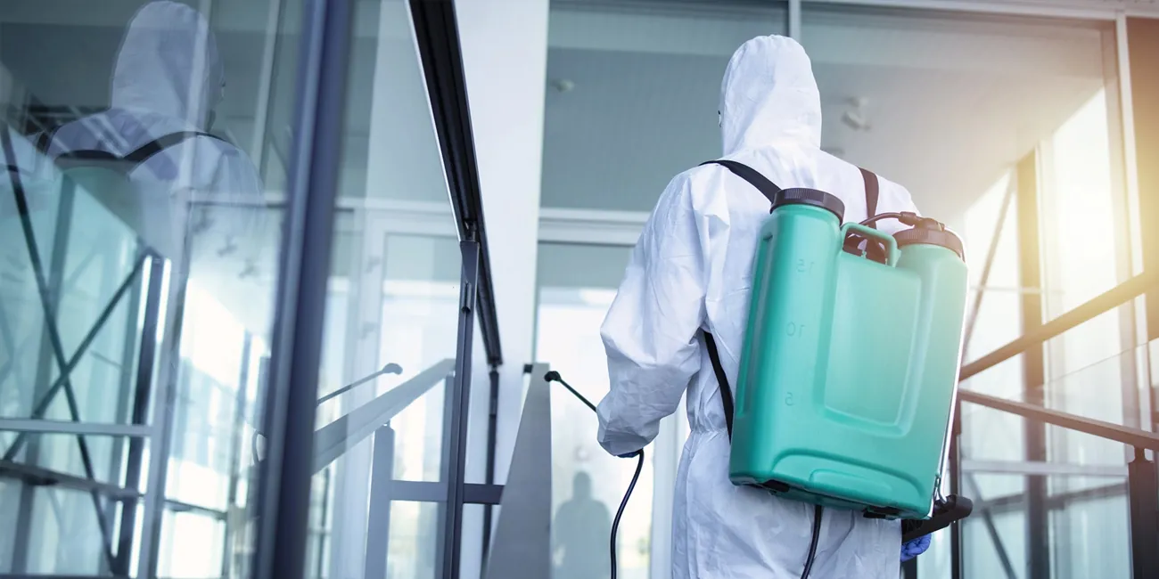 Pest Services Pest Control Services website development wordpress